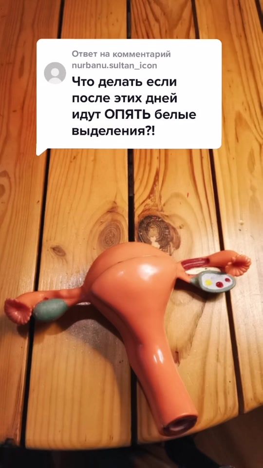 TikTok video thumbnail by ecowoman.space