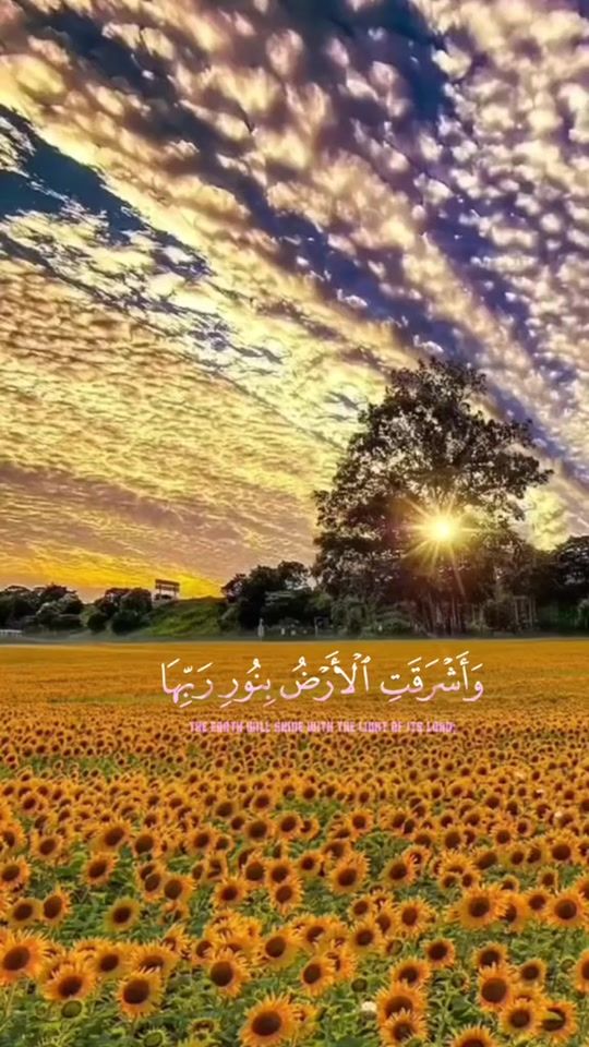 TikTok video thumbnail by .mohamedsabry35