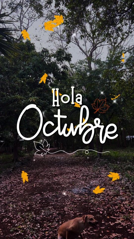 TikTok video thumbnail by solamente178