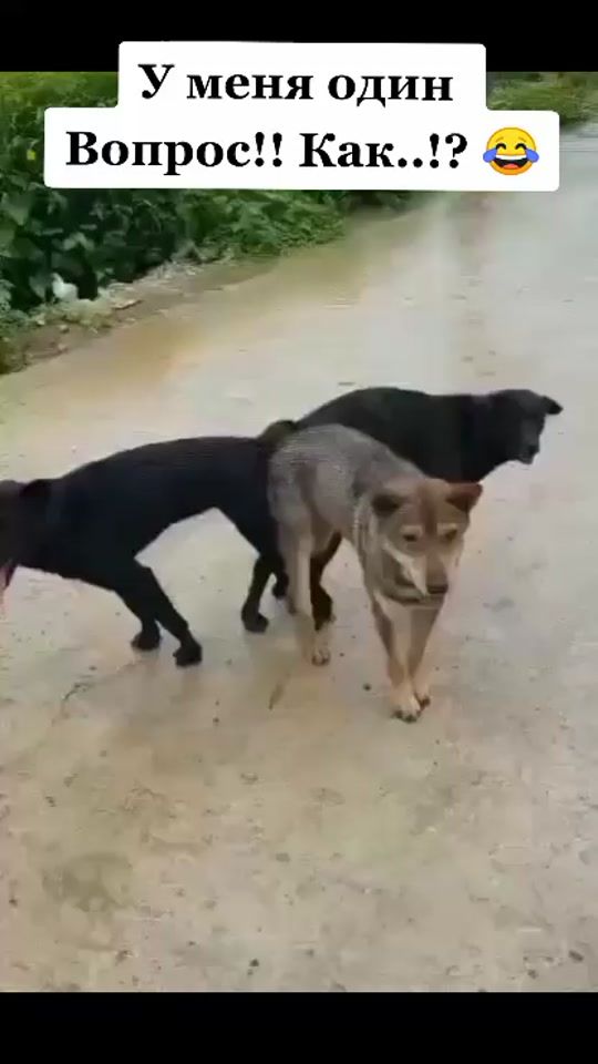 TikTok video thumbnail by user27159410653398