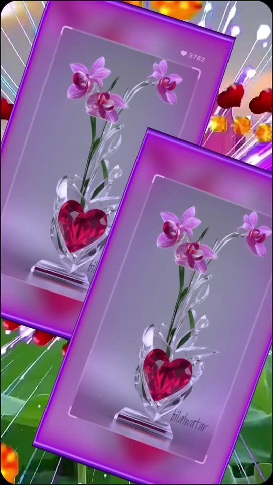 TikTok video thumbnail by shakeelmohammed531