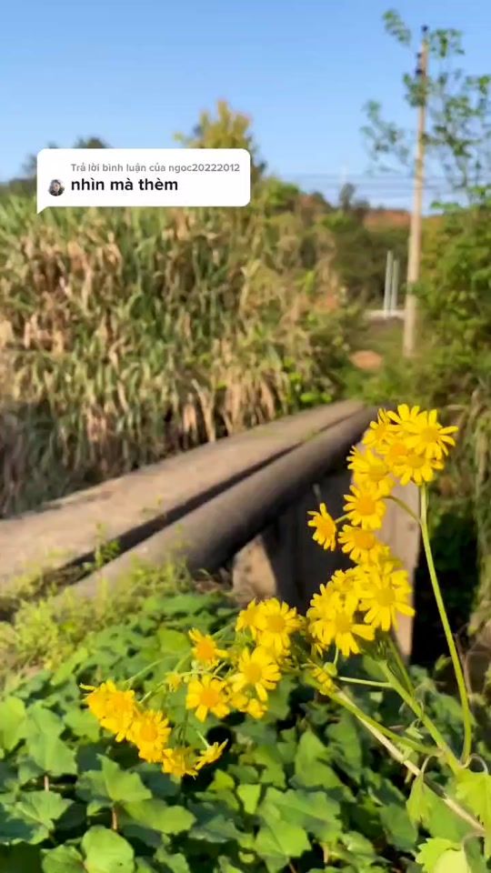 TikTok video thumbnail by renstoree