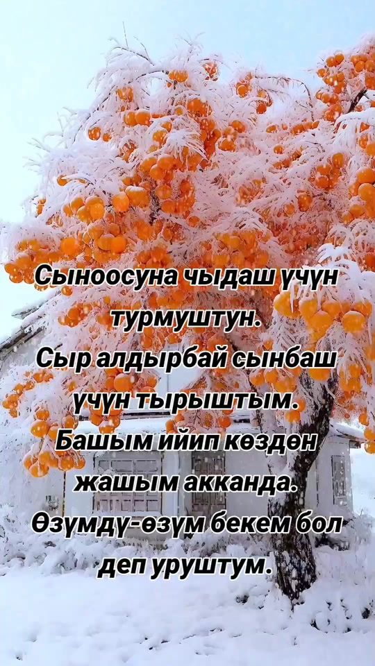 TikTok video thumbnail by zumabekova507gmail.com5