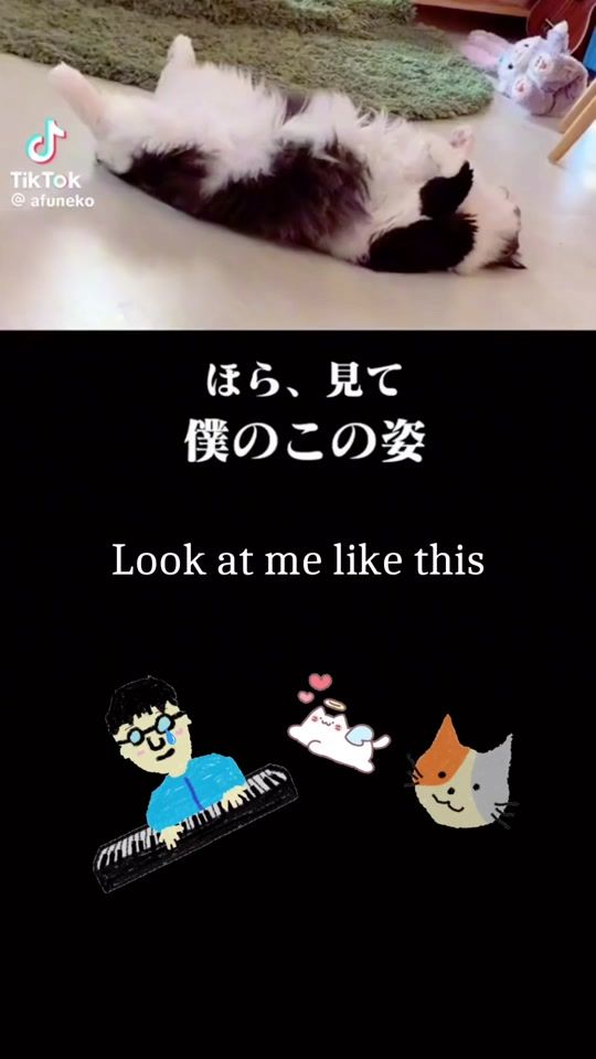 TikTok video thumbnail by hirokisan79