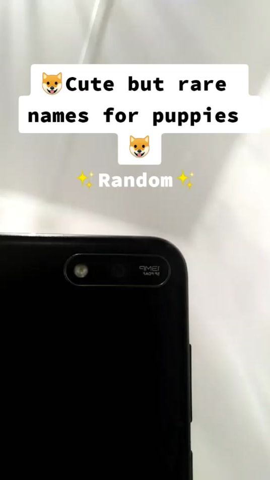 TikTok video thumbnail by aestheticc..factz