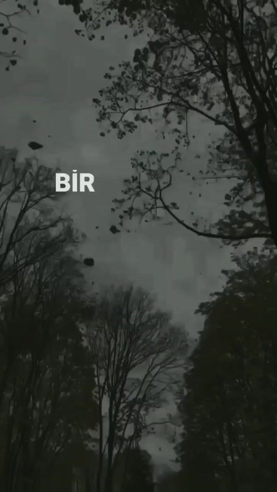 TikTok video thumbnail by alabora_dusler_