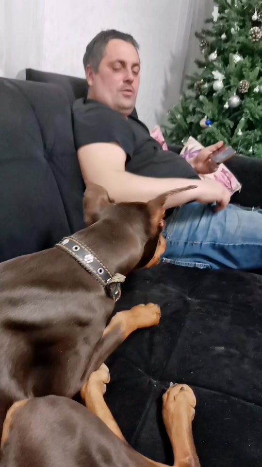 TikTok video thumbnail by doberhan