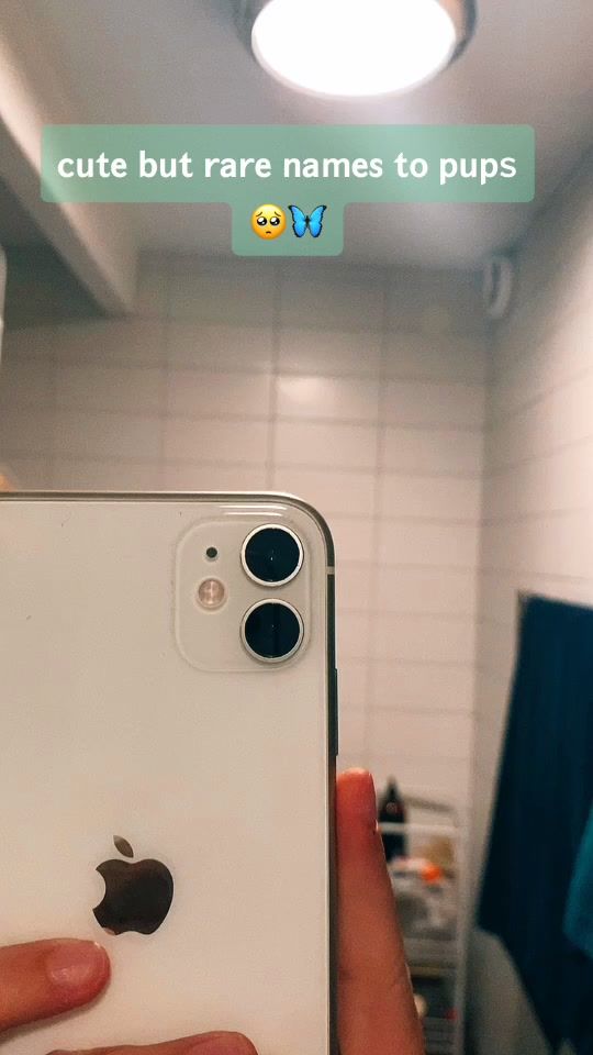 TikTok video thumbnail by _..random.facts