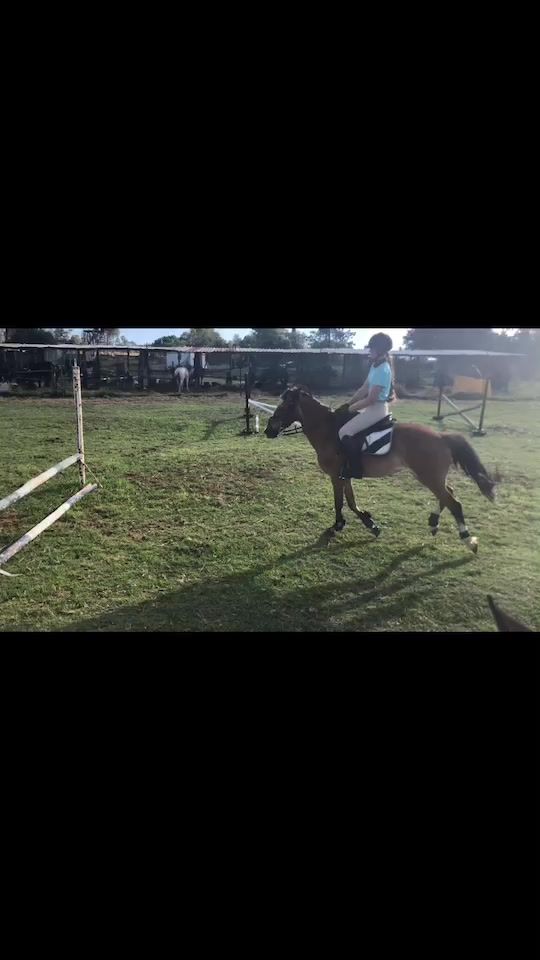 TikTok video thumbnail by thrills.and.vet_bills