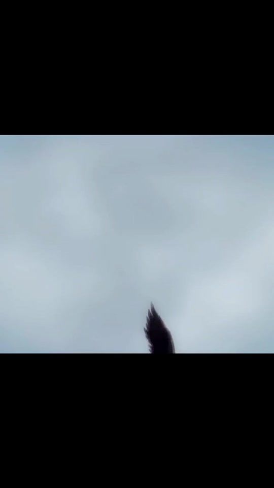 TikTok video thumbnail by grdyo0