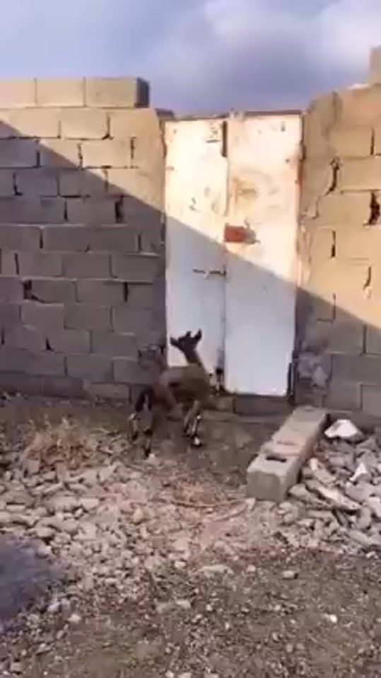 TikTok video thumbnail by tourfun84