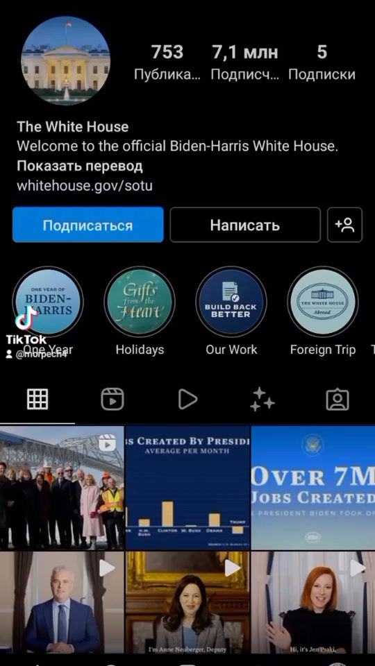 TikTok video thumbnail by morpech4