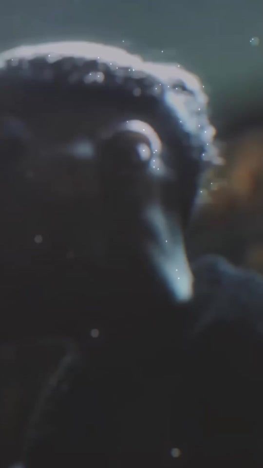 TikTok video thumbnail by reels2luxe