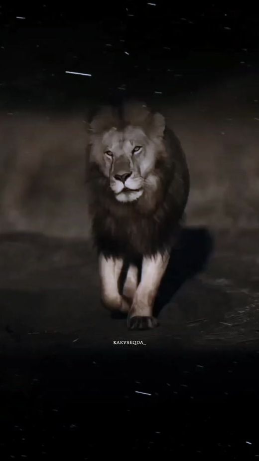 TikTok video thumbnail by kakvseqda_