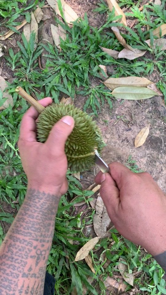TikTok video thumbnail by bb_2582