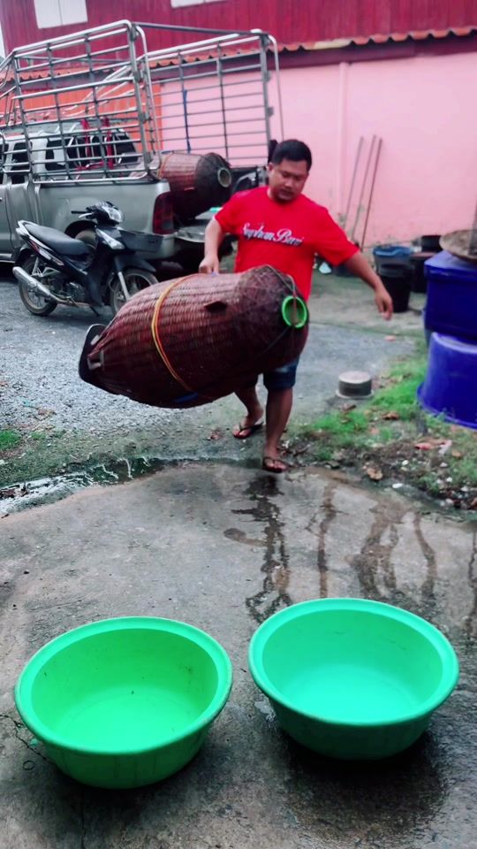 TikTok video thumbnail by sab_suphan3.8super