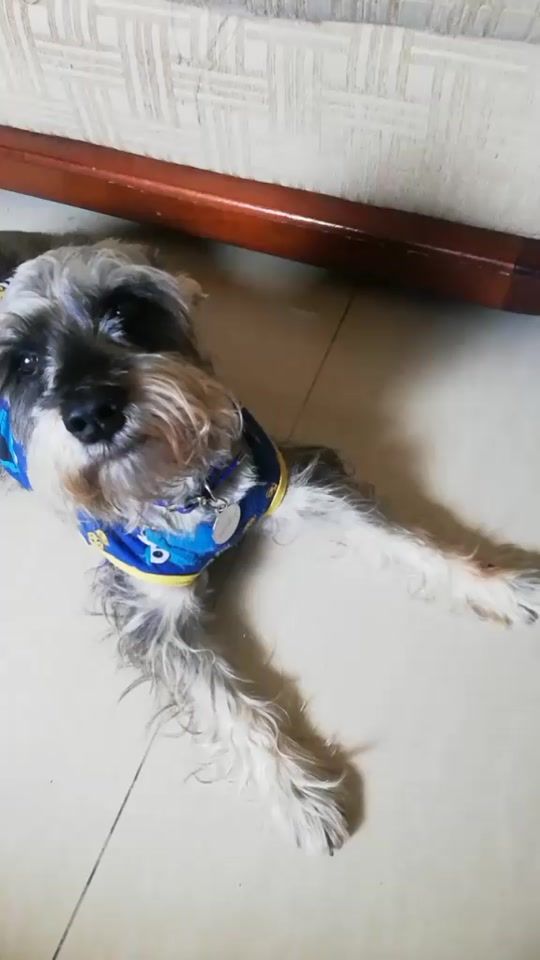 TikTok video thumbnail by magalysoto0905