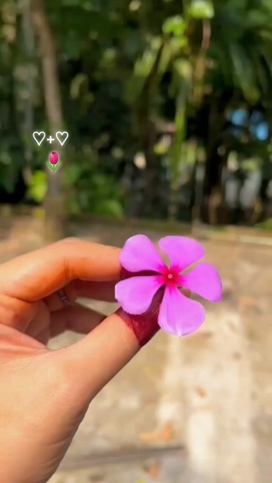 TikTok video thumbnail by pushpita91