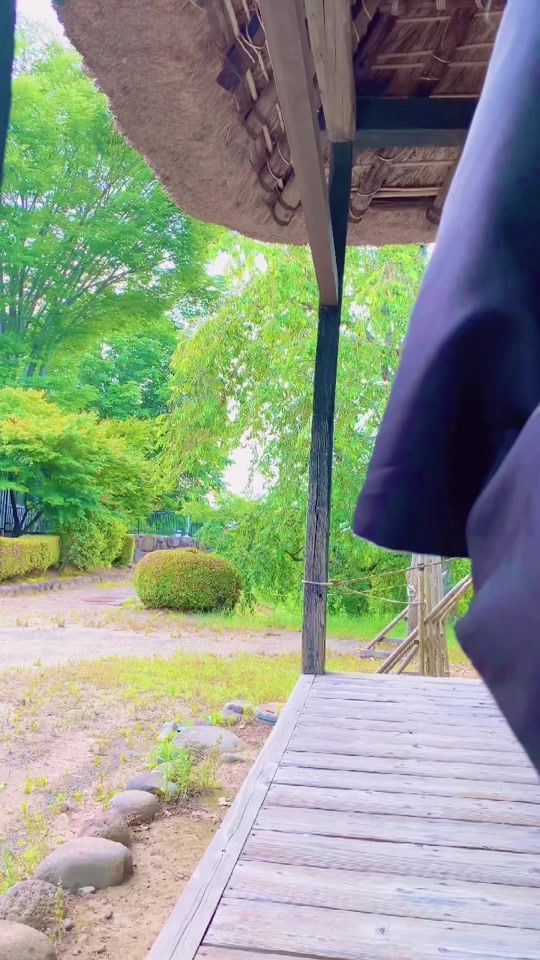 TikTok video thumbnail by shanyou88