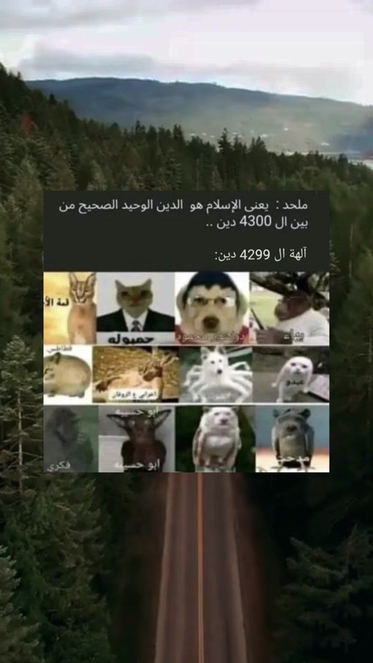 TikTok video thumbnail by cc.vz2