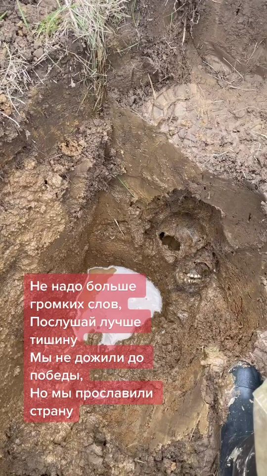 TikTok video thumbnail by bogdanov_group