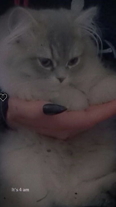TikTok video thumbnail by aimamahi