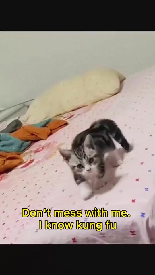 TikTok video thumbnail by sumyatzaw156