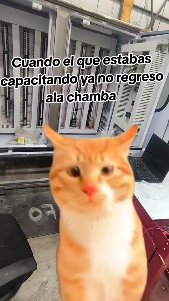 TikTok video thumbnail by jdvazquezx