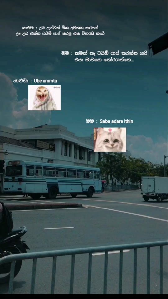 TikTok video thumbnail by _vidu_status_57