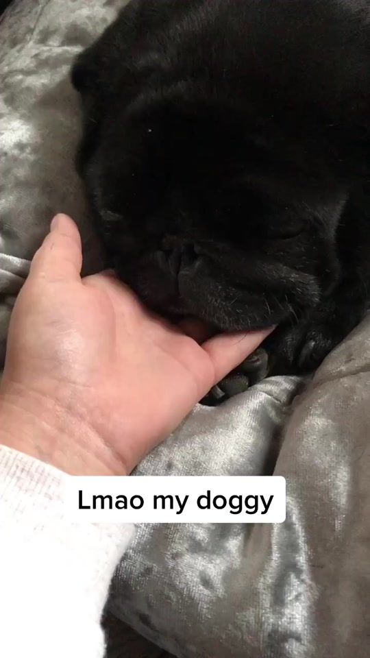 TikTok video thumbnail by ouogame