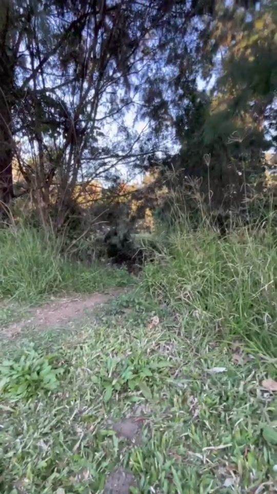 TikTok video thumbnail by jessehinder