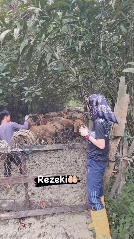 TikTok video thumbnail by nadiaayusoff37