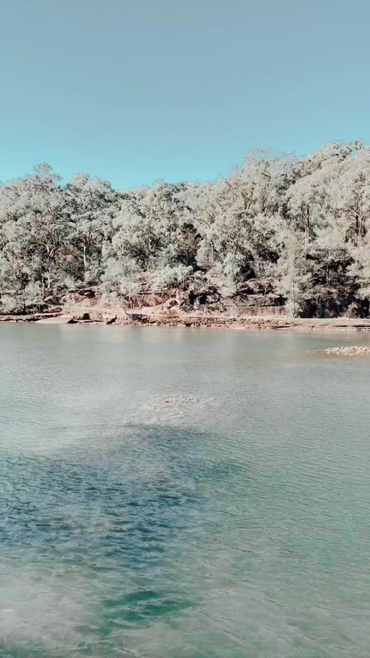 TikTok video thumbnail by user729463827