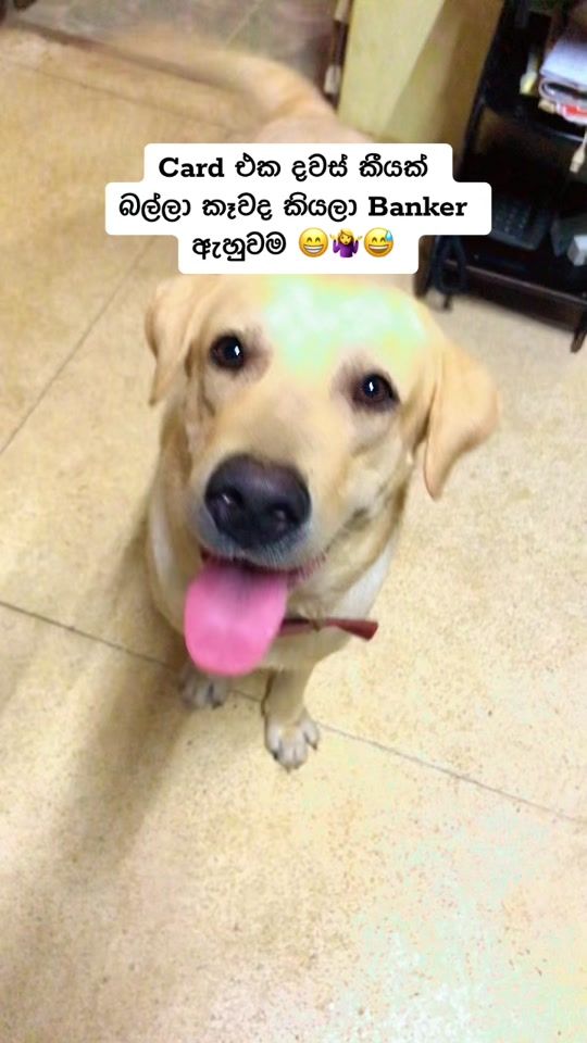 TikTok video thumbnail by meashi994