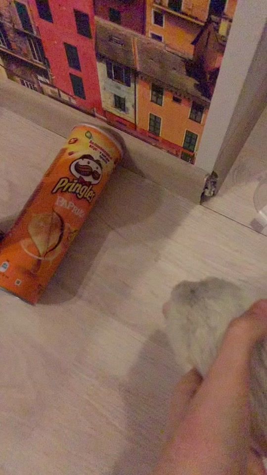 TikTok video thumbnail by rat_home_spb