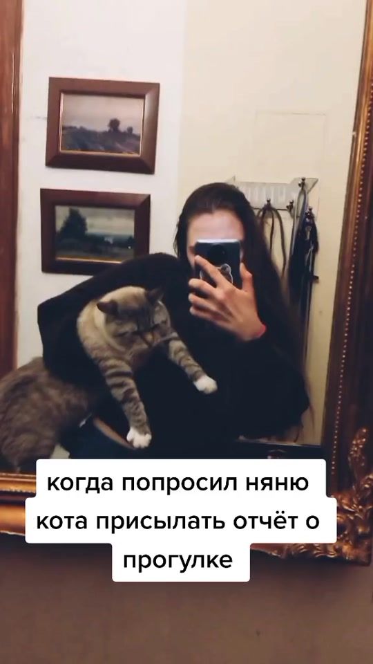 TikTok video thumbnail by shiba.stiv