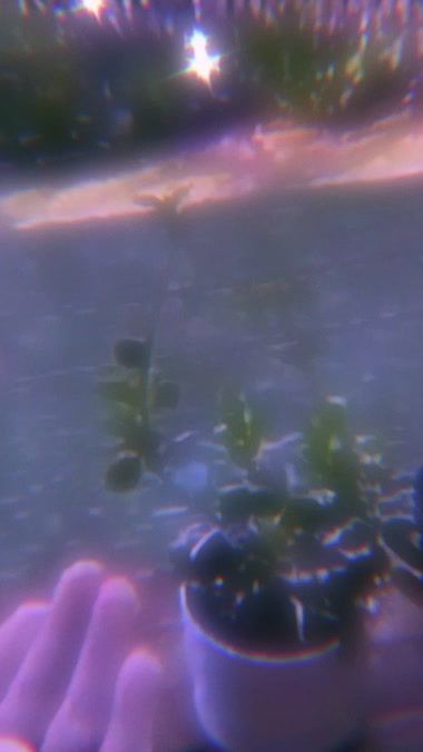 TikTok video thumbnail by assassinatedhoe