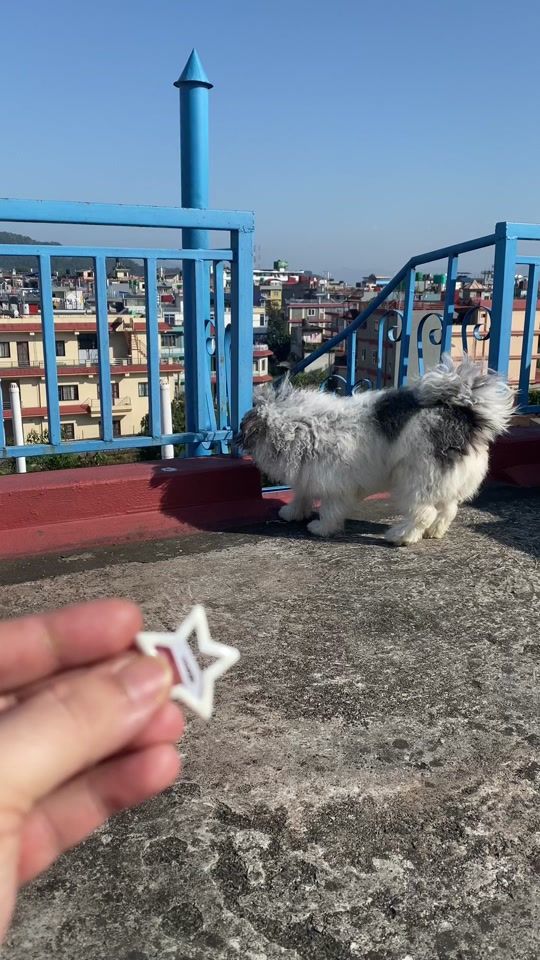TikTok video thumbnail by munmun.kunwar