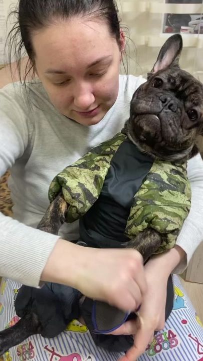 TikTok video thumbnail by frenchman_butch