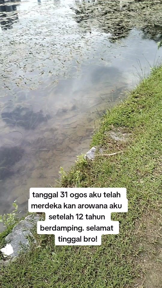 TikTok video thumbnail by azharmn74