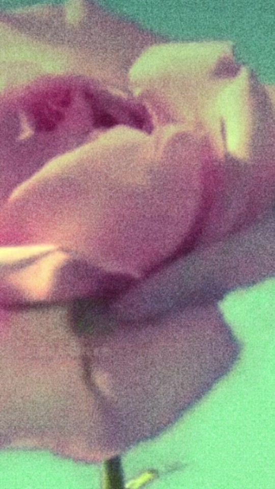TikTok video thumbnail by heroinsickkk