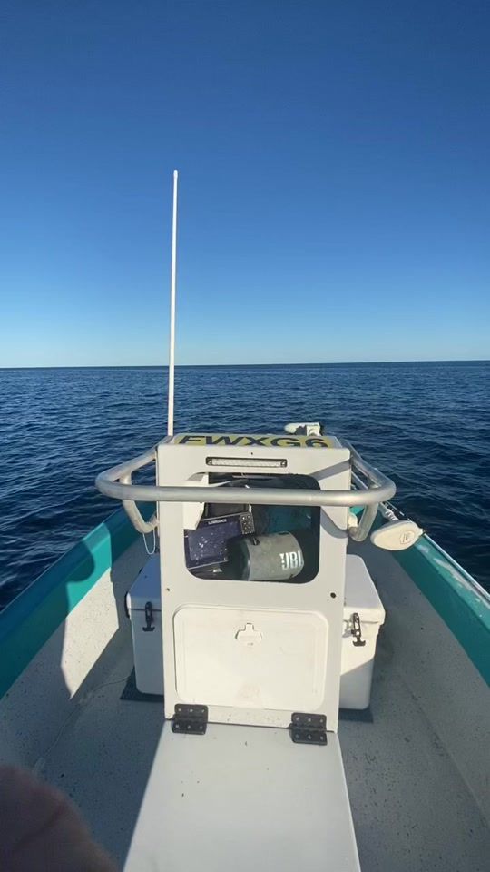 TikTok video thumbnail by onlyfins6699