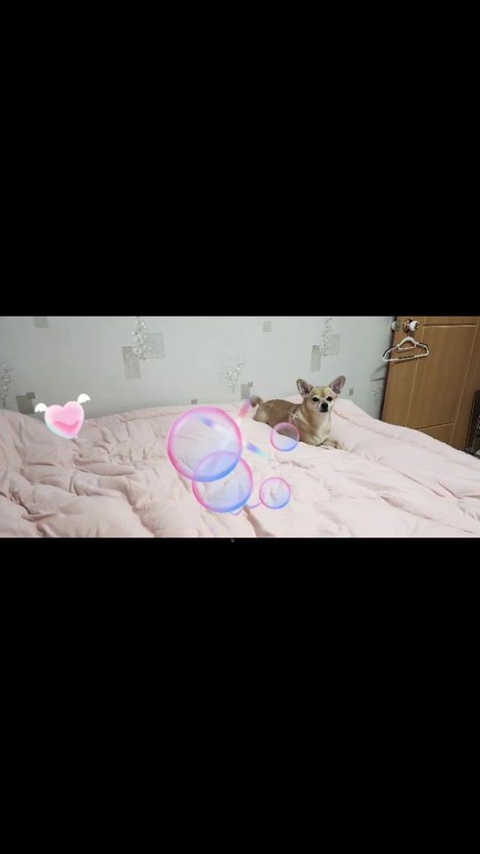 TikTok video thumbnail by cjr50428691
