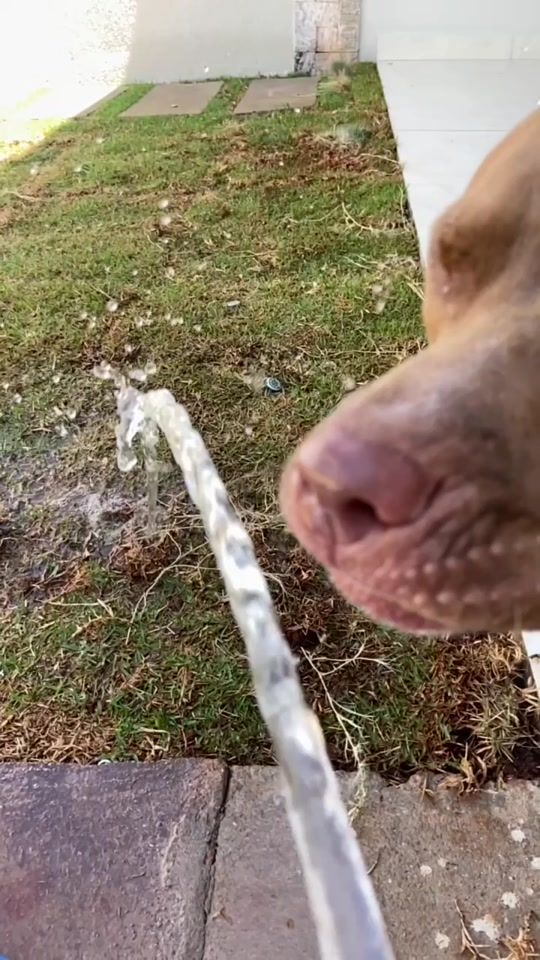 TikTok video thumbnail by diegoosouzac0