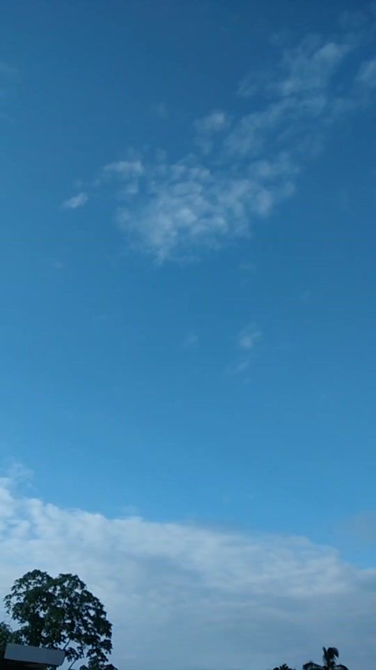 TikTok video thumbnail by anamariacorrealima