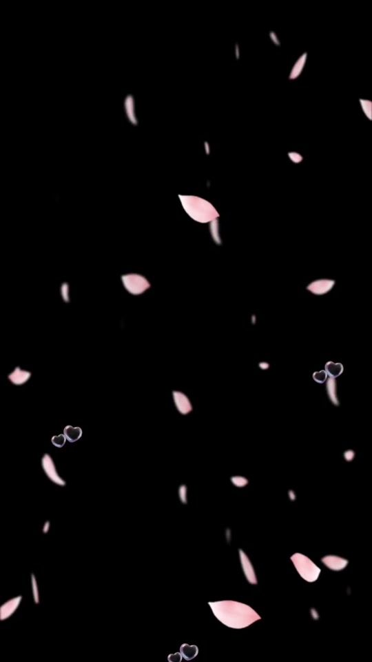 TikTok video thumbnail by elytryesc