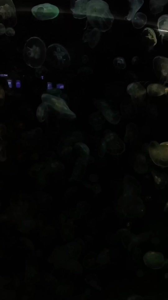 TikTok video thumbnail by meow_jomm