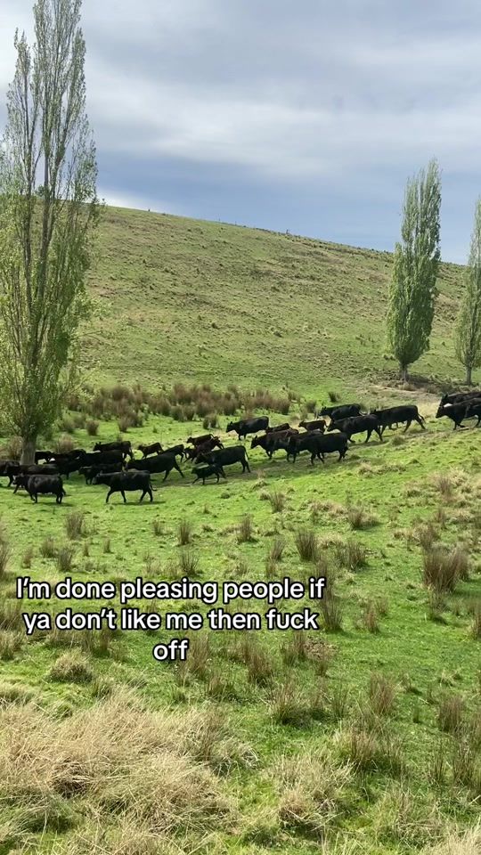 TikTok video thumbnail by farm_stuff40
