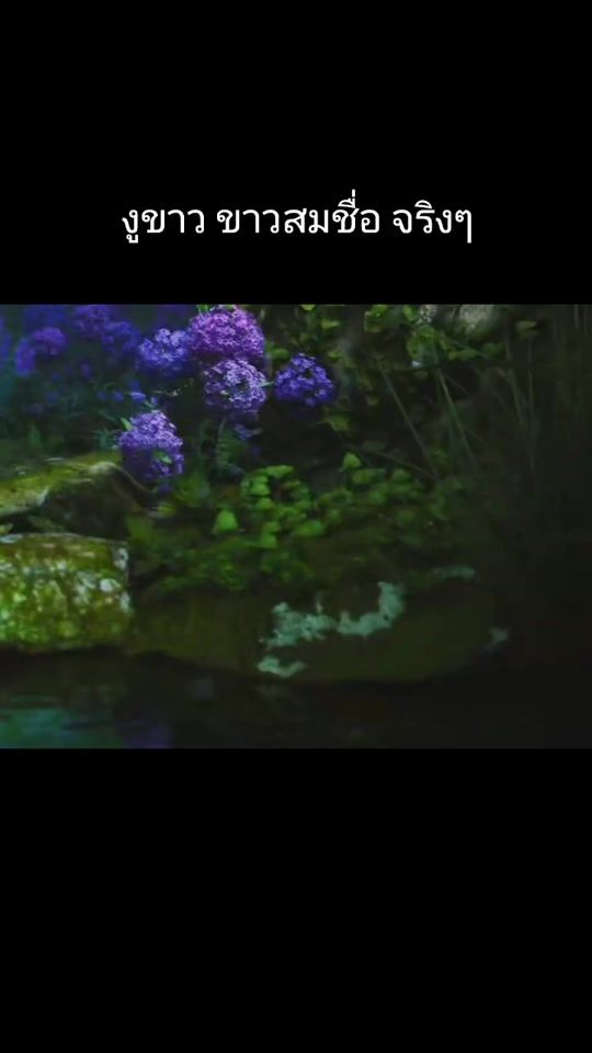 TikTok video thumbnail by sangmanee_95