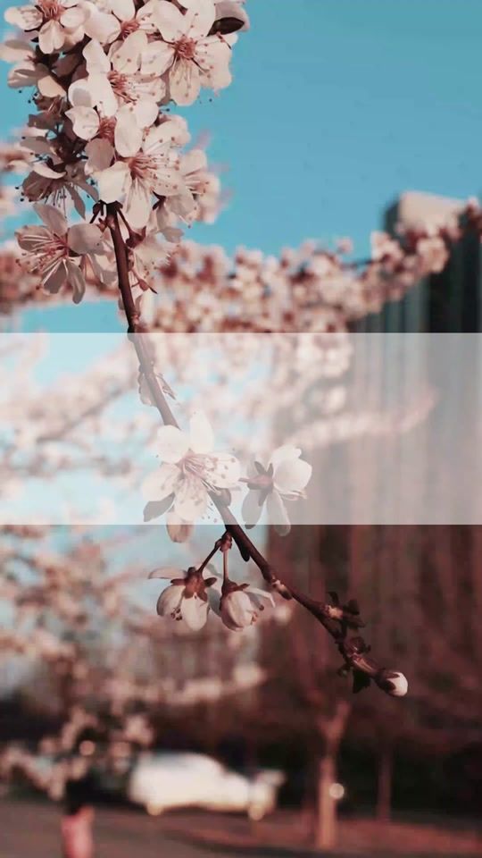 TikTok video thumbnail by naonnu70